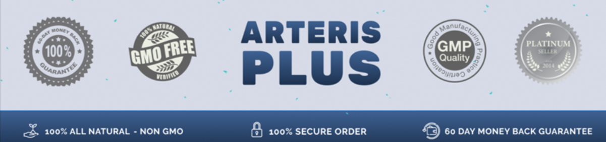 Arteris Plus Certification