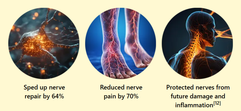 Nerve Armor Benefits